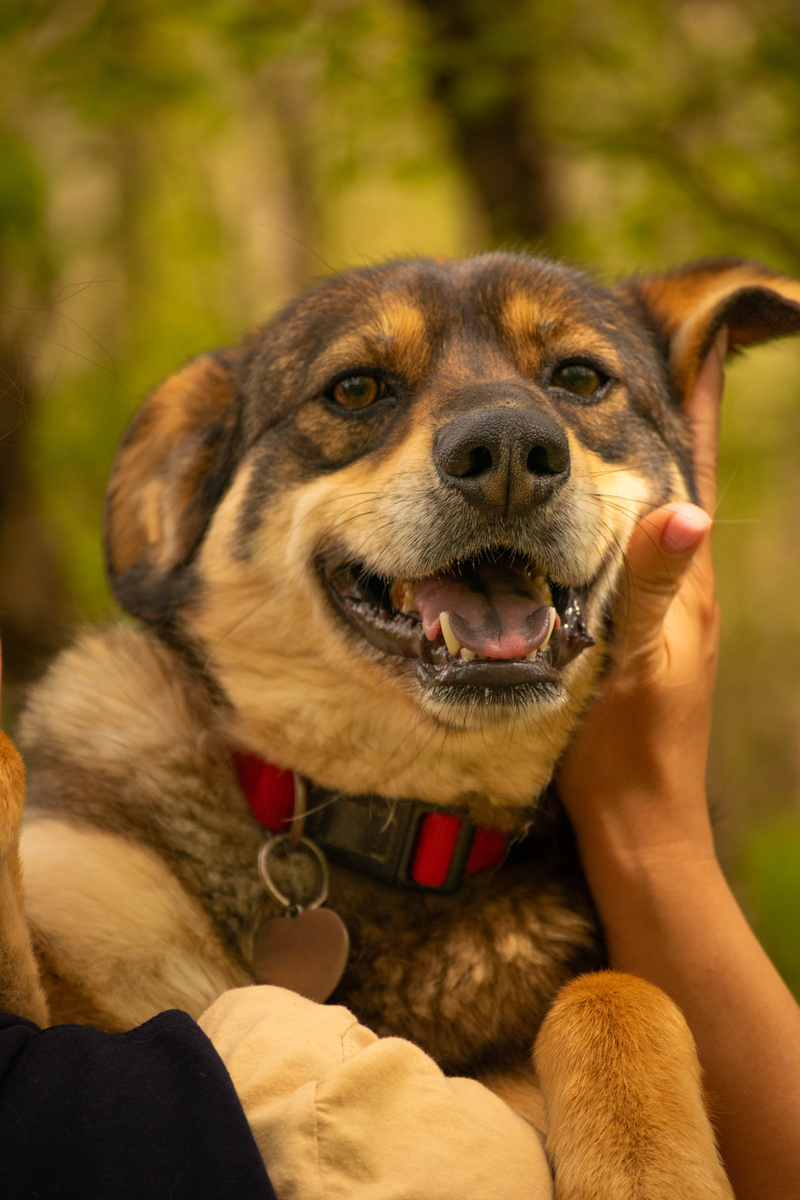 Да я ж почти в ладошках помщаюсь!