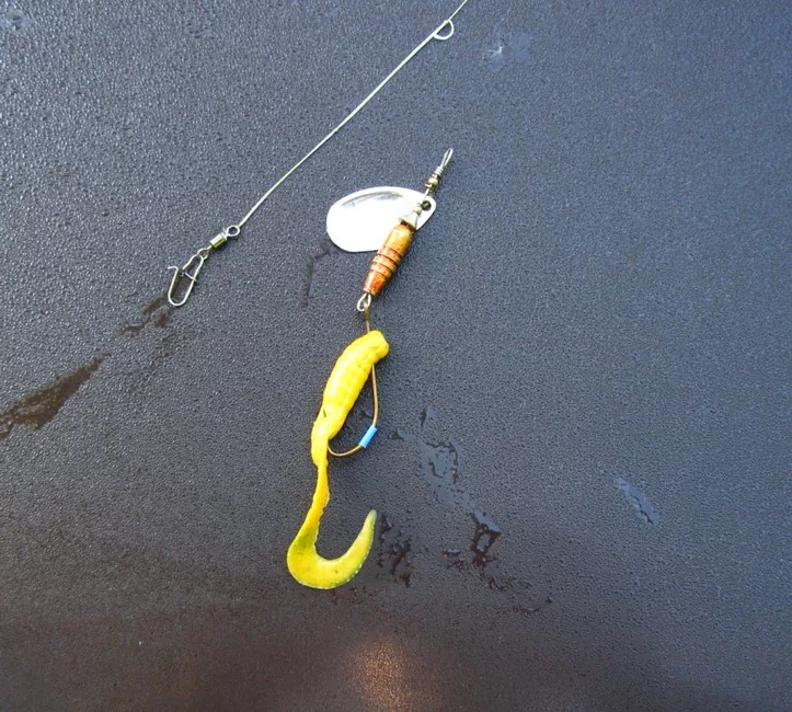 Фото с сайта: https://avatars.mds.yandex.net