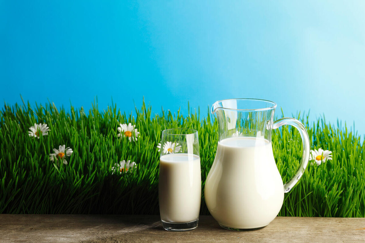    Молоко. 123RF/legion-media.ru