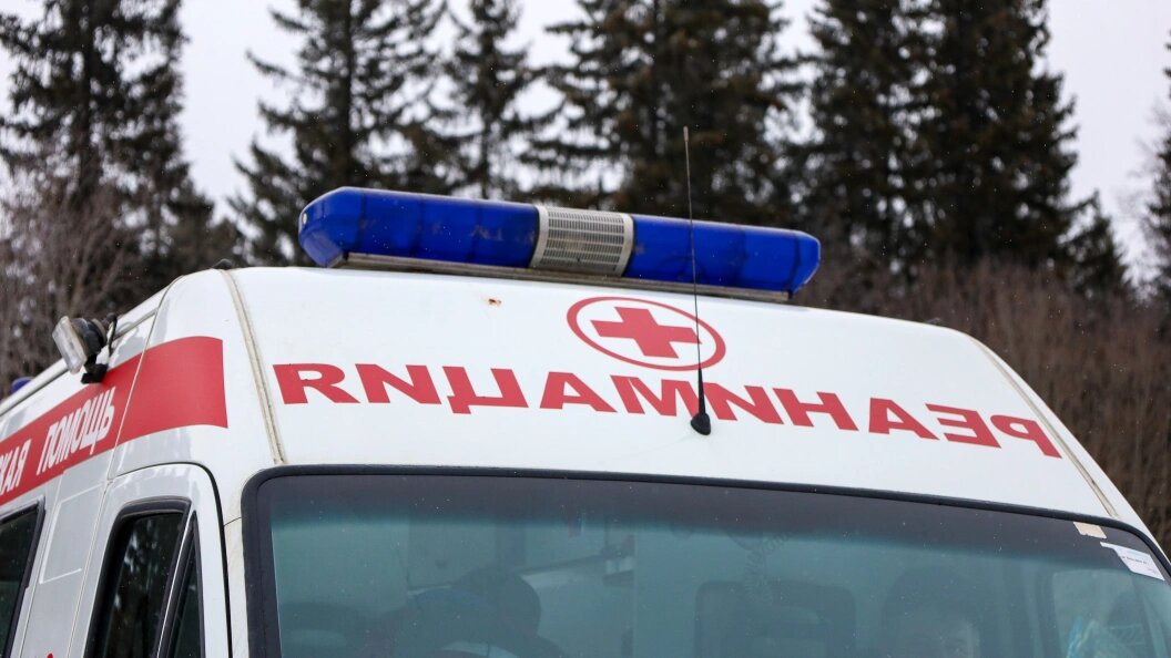    Фото: Elena Mayorova/Globallookpress