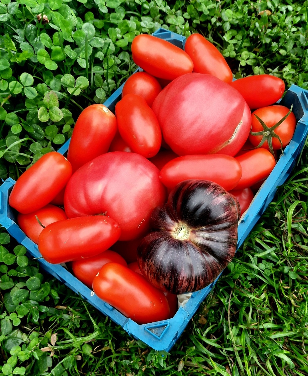 Фото автора. 