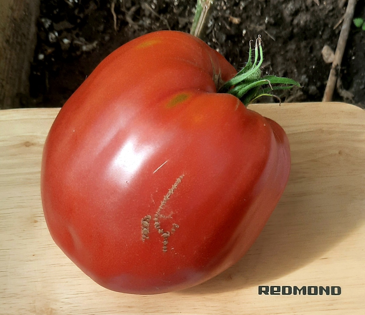 Фото автора. Бывалый, 545г, РВП.