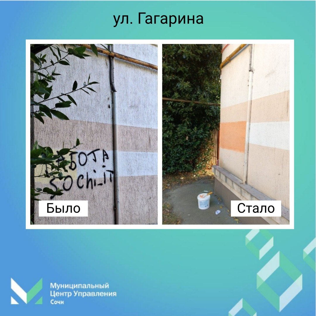    Фото: Telegram/МЦУ Сочи