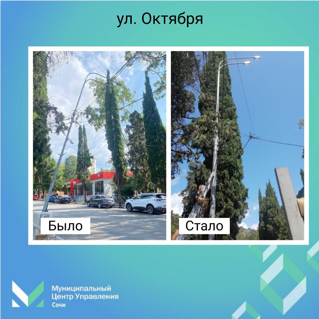   Фото: Telegram/МЦУ Сочи
