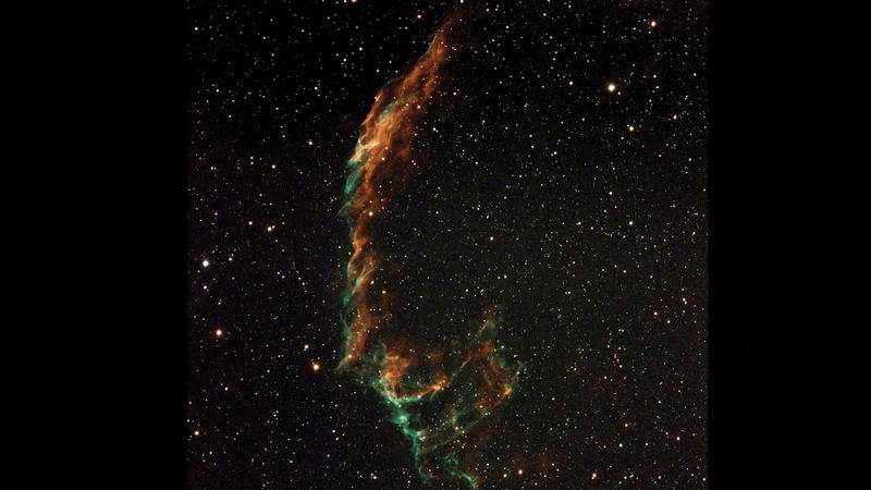    © Daisy Dobrijevic, Xenomorph: Hulu