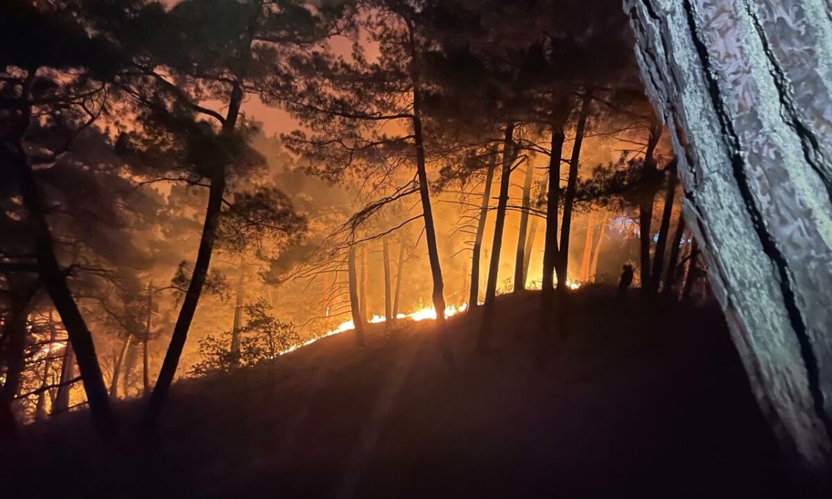    Фото t.me/krd_klpc