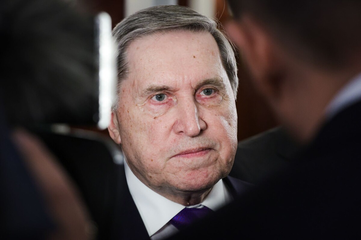     / Источник: © Global Look Press