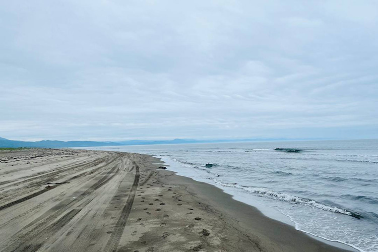    Мыс Слепиковского — безумно красивый, длинный, чистый пляж