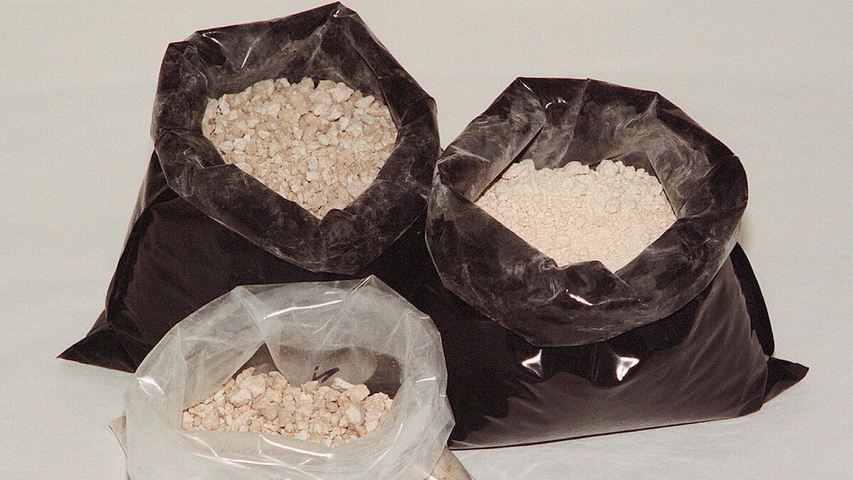    Фото: Victor Lisitsyn/globallookpress.com