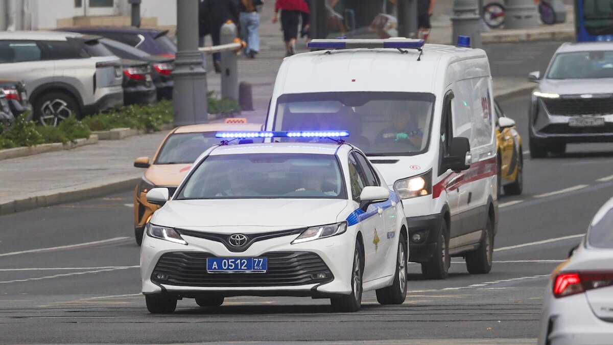    Фото: Shatokhina Natalia/news.ru