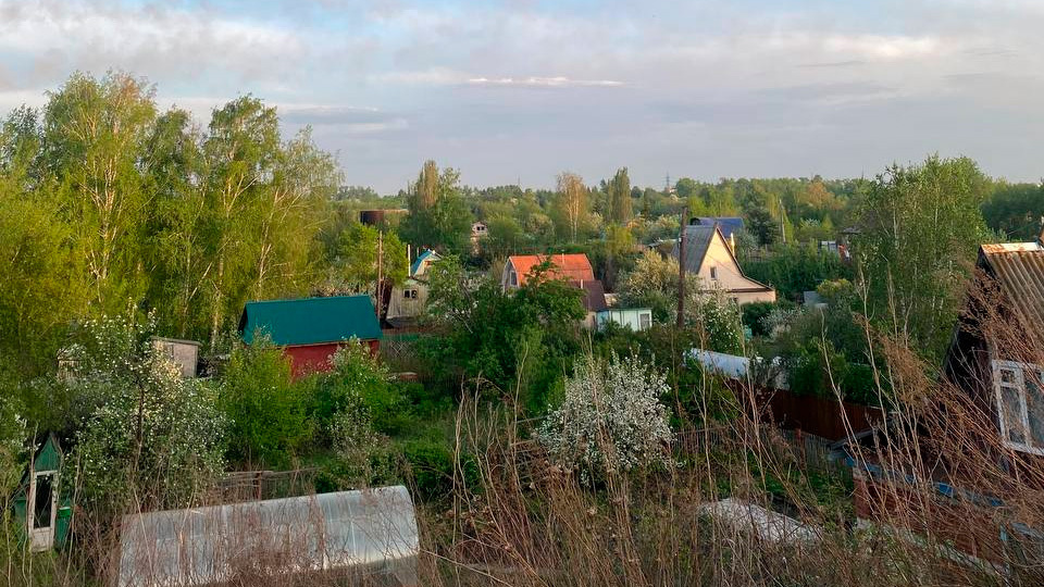 У омичей с 1 сентября начнут забирать дачи, но властям они не нужны