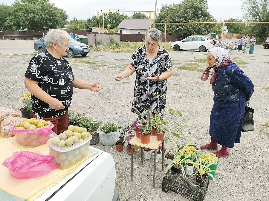    oplus_2 Алексей Коверзнев
