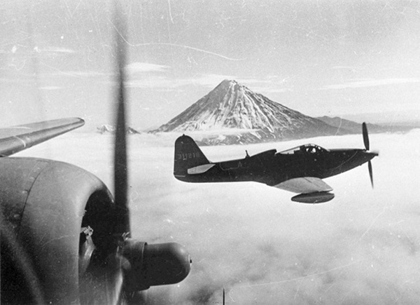 По воздушному международному мосту перевезли более 18 тысяч тонн различных грузов: военное оборудование, золото, слюду, продовольствие, оборудование для госпиталей, медикаменты