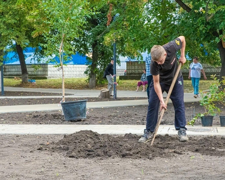     В сквере на улице Гагарина в Курске высадят деревья и кустарники