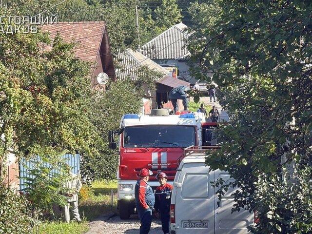    Фото: телеграм-канал "Настоящий Гладков"