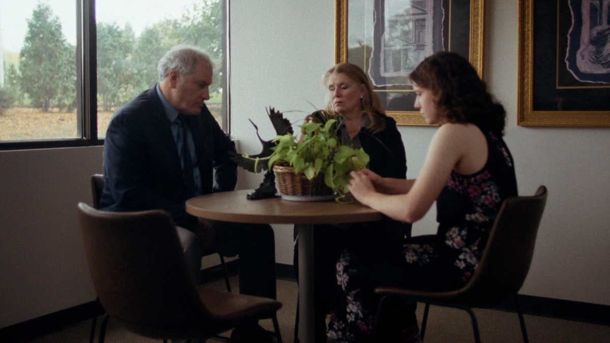 Изображения - интернет.