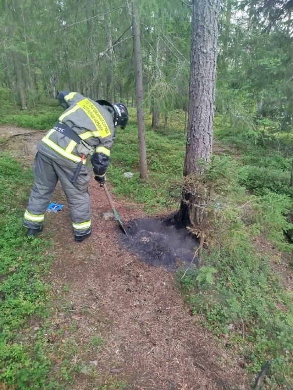    Фото: Госкомитет Карелии по безопасности