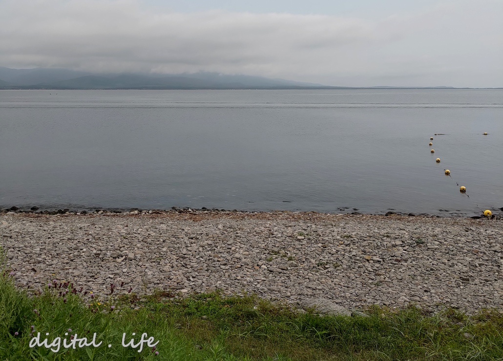 Дождика нет, но душно, влажность 86-91% (((