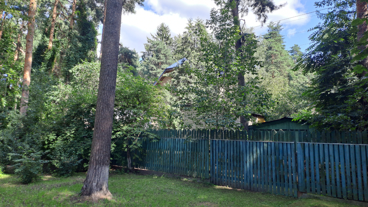 Дом утопает в зелени