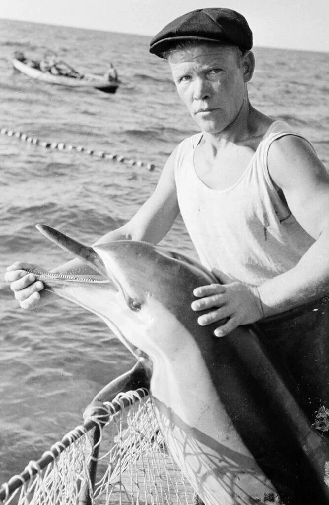    Туапсе. 1947 г. Фотография советского фотокорреспондента Семена Фридлянда (1905-1964 гг.).