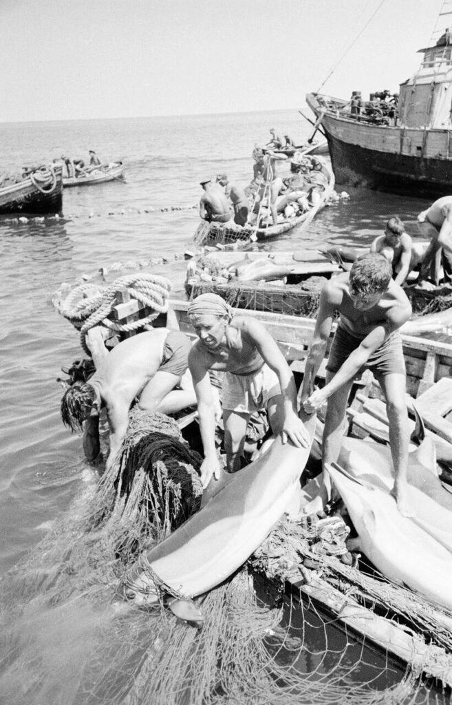    Туапсе. 1947 г. Фотография советского фотокорреспондента Семена Фридлянда (1905-1964 гг.).