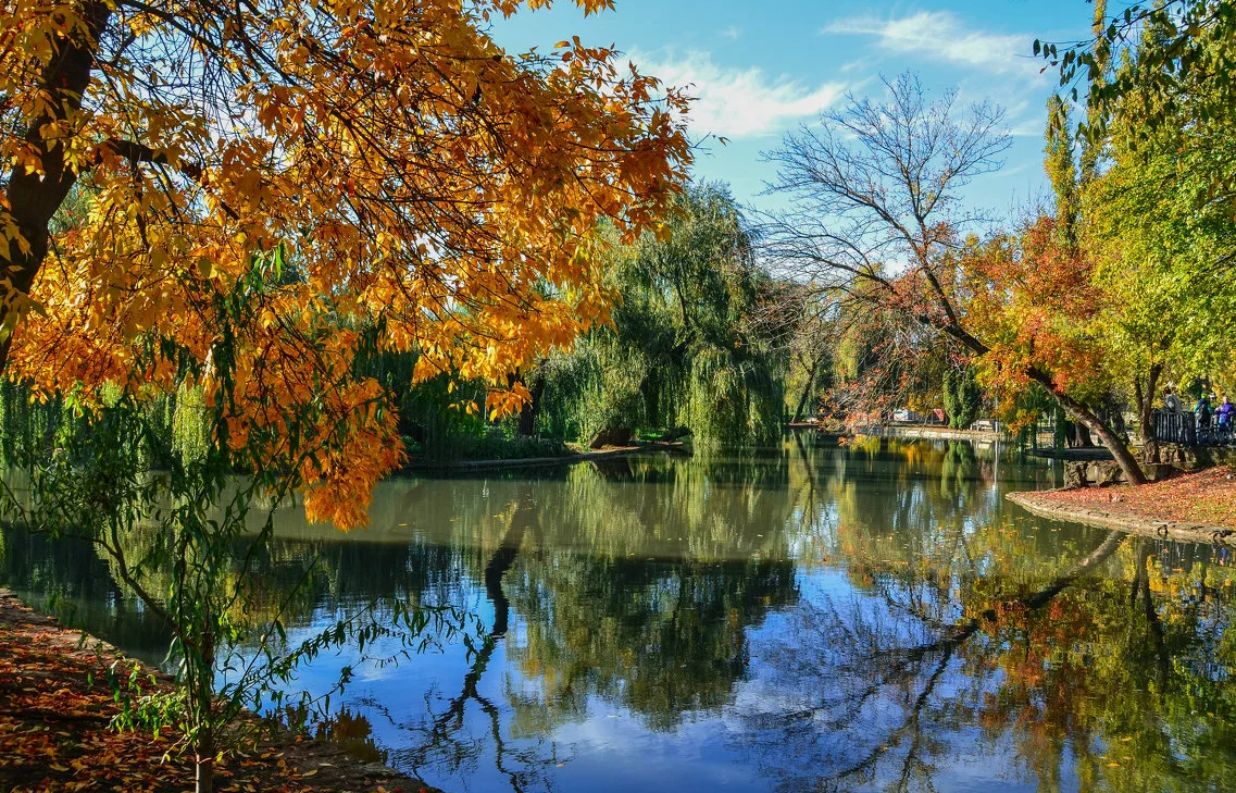 Константин Лабудя fotokto.ru