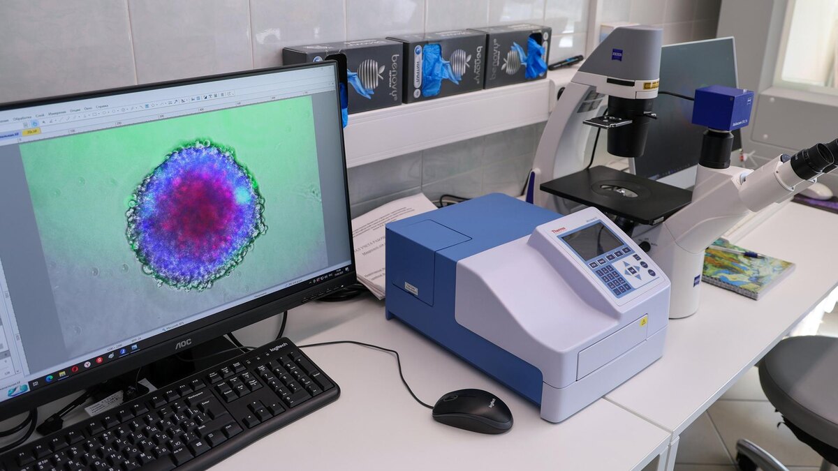    Фото: пресс-служба губернатора Санкт-Петербурга