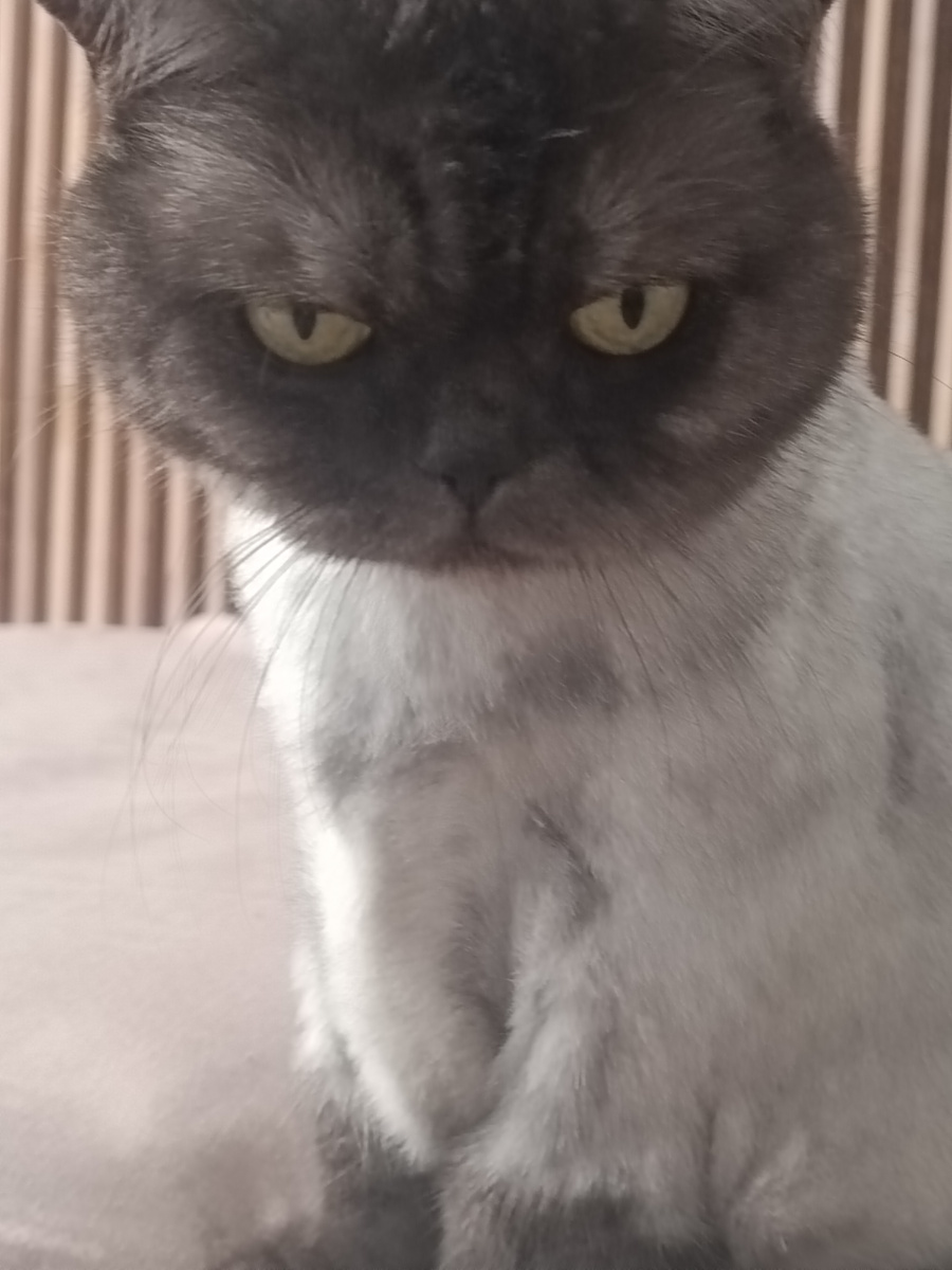 Проверяет, все ли документы я правильно сложила🤣