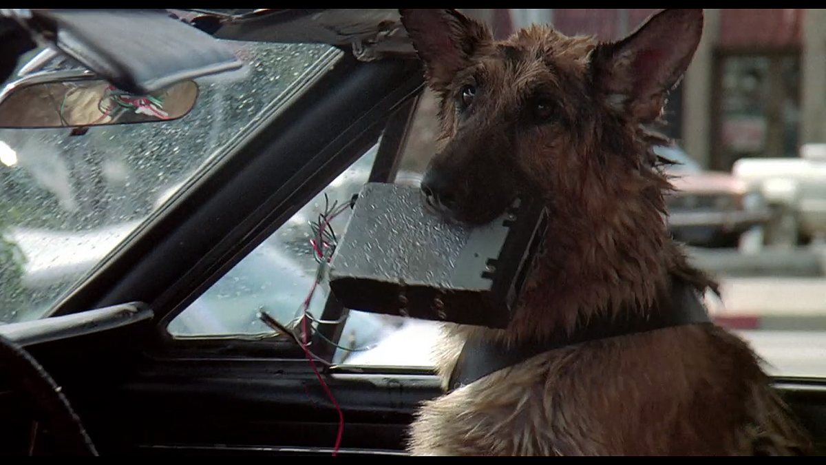 Кадр из фильма К-9: Собачья работа (1989)