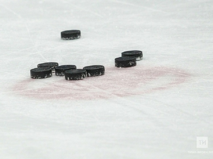     Фото: ИА "Татар-информ"