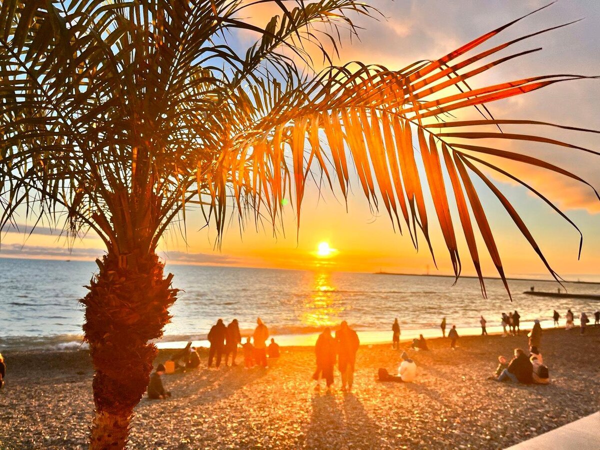    © Елена Синица