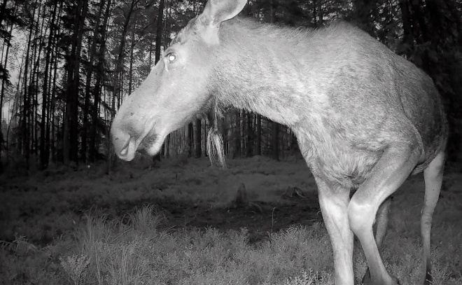    © t.me/kazdoytvaripopare