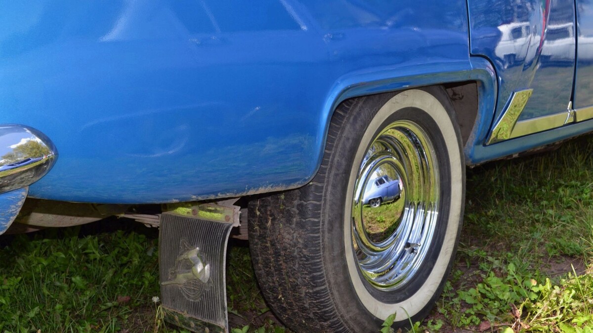    Фото: bissig/Shutterstock/Fotodom