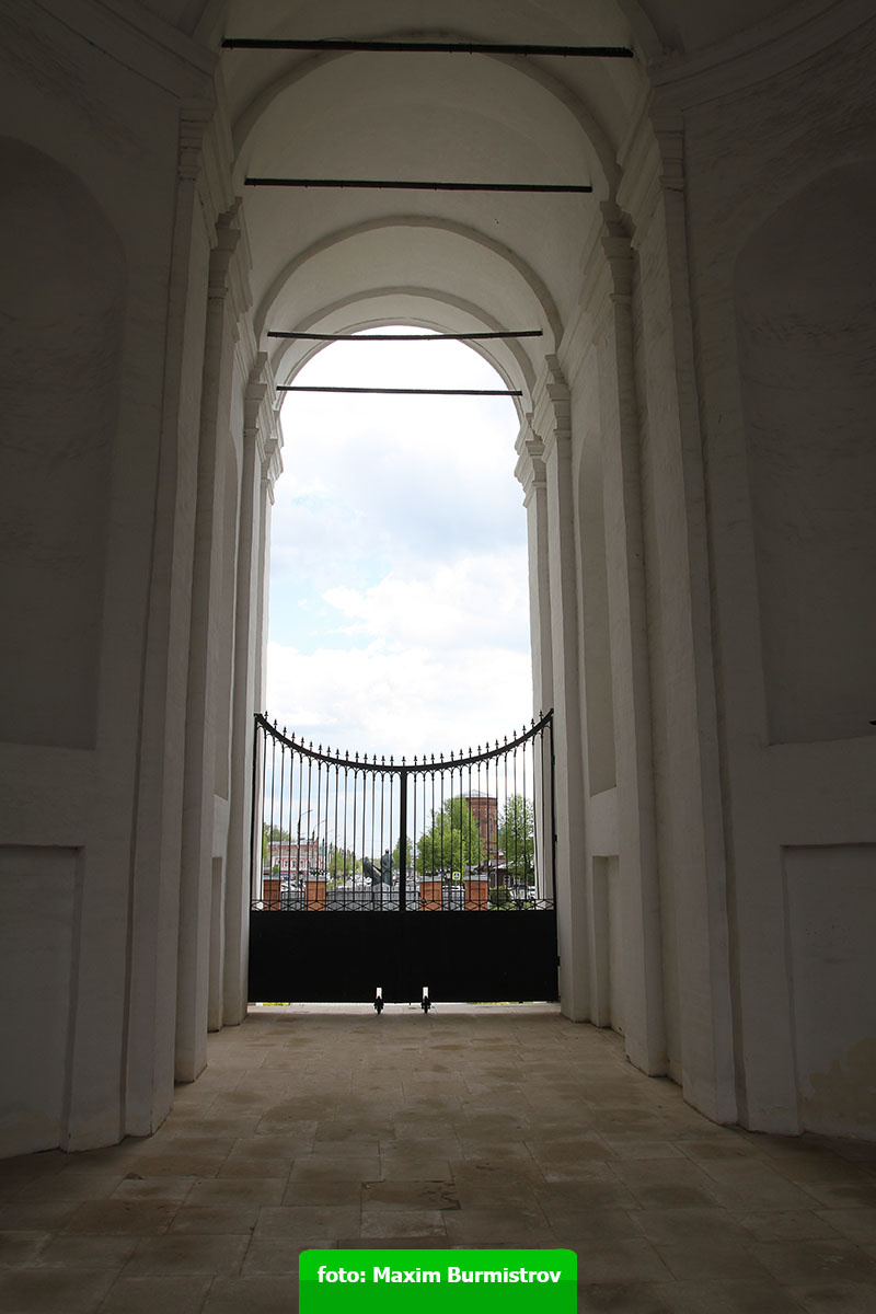 Я с тоской посмотрел в арку: мне придется идти, никуда не денешься!