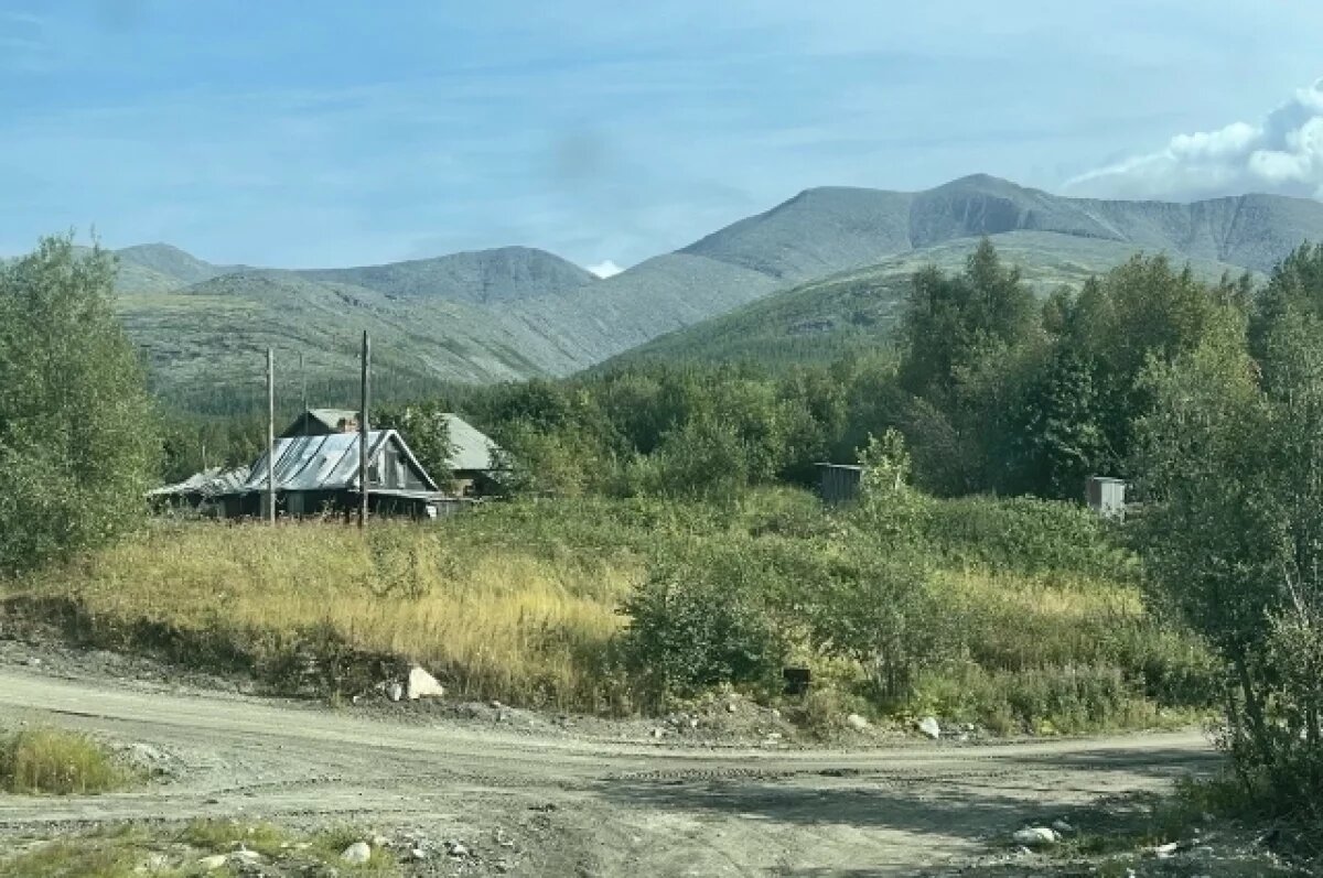    В Мурманской области ввели карантин по малому чёрному еловому усачу