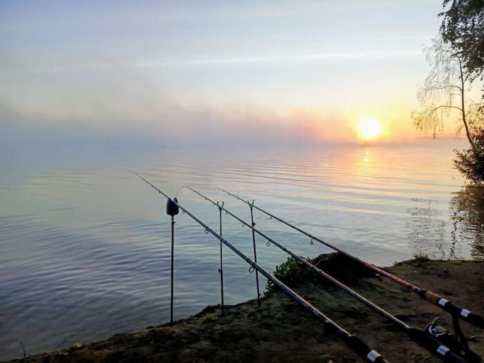     Фото: сообщество «Рыбалка на Белоярском и Рефтинском водохранилище»