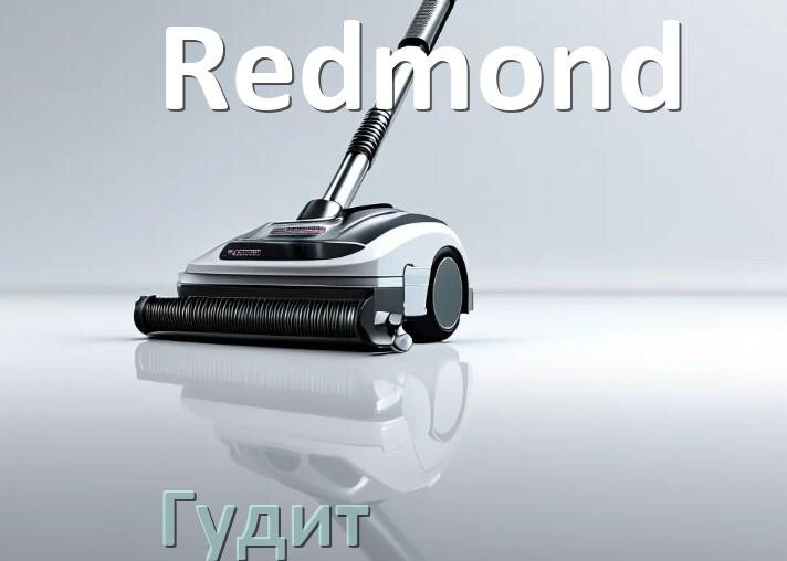 
Почему пылесос Redmond сильно гудит и шумит что делать