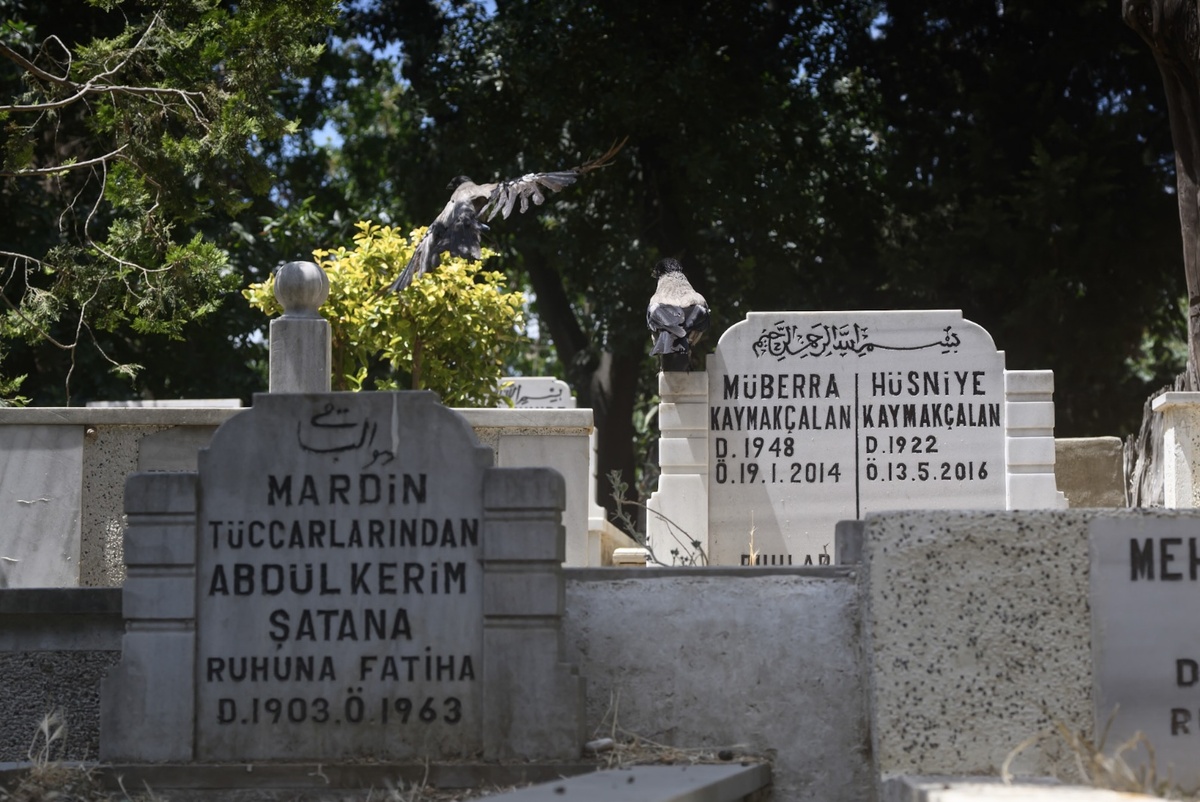 Стамбул. Турция. 2025 года