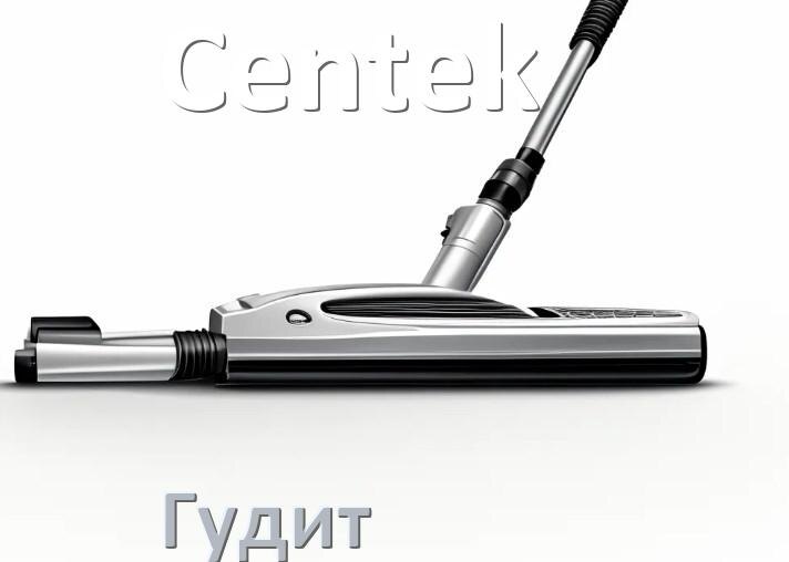 
Почему пылесос Centek сильно гудит и шумит что делать