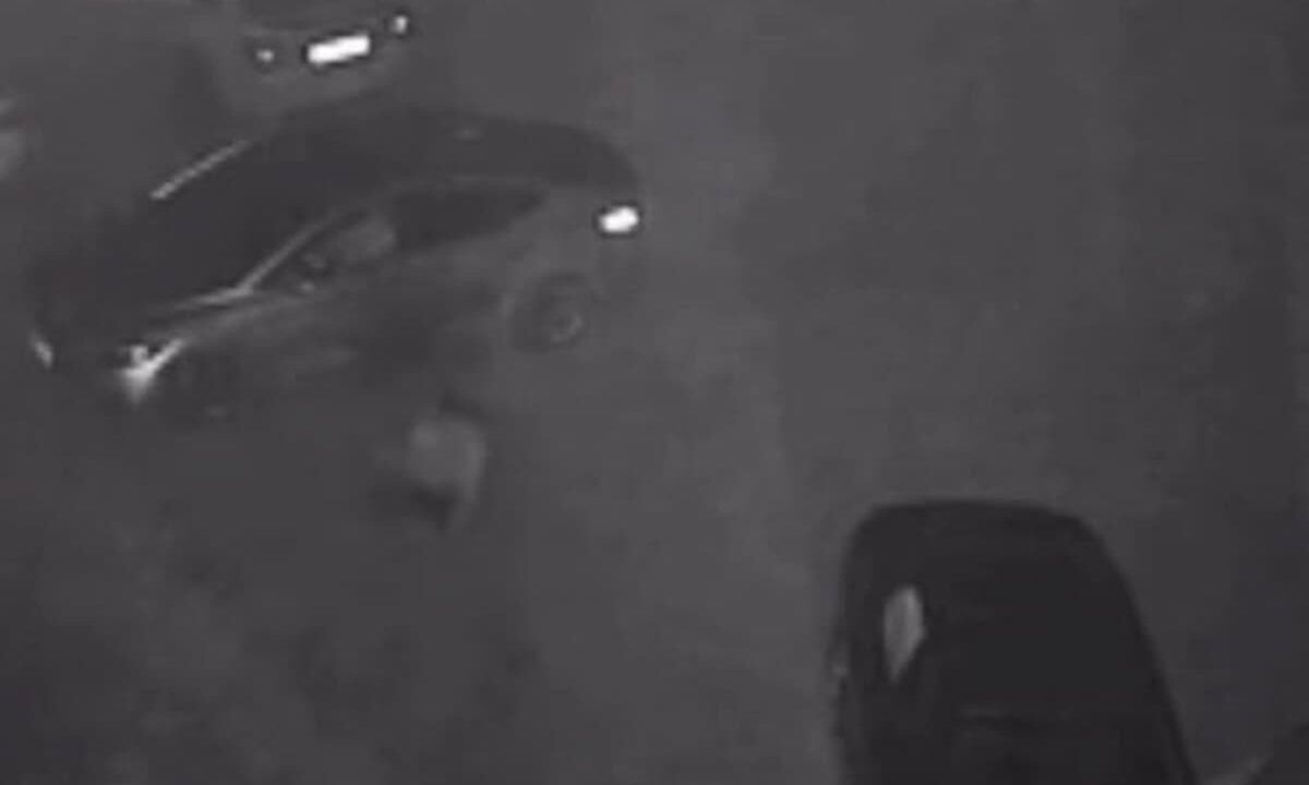    Фото t.me/mvd_23