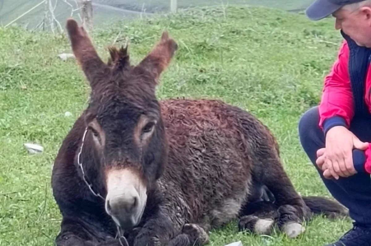    «Спасибо, что приехали».
