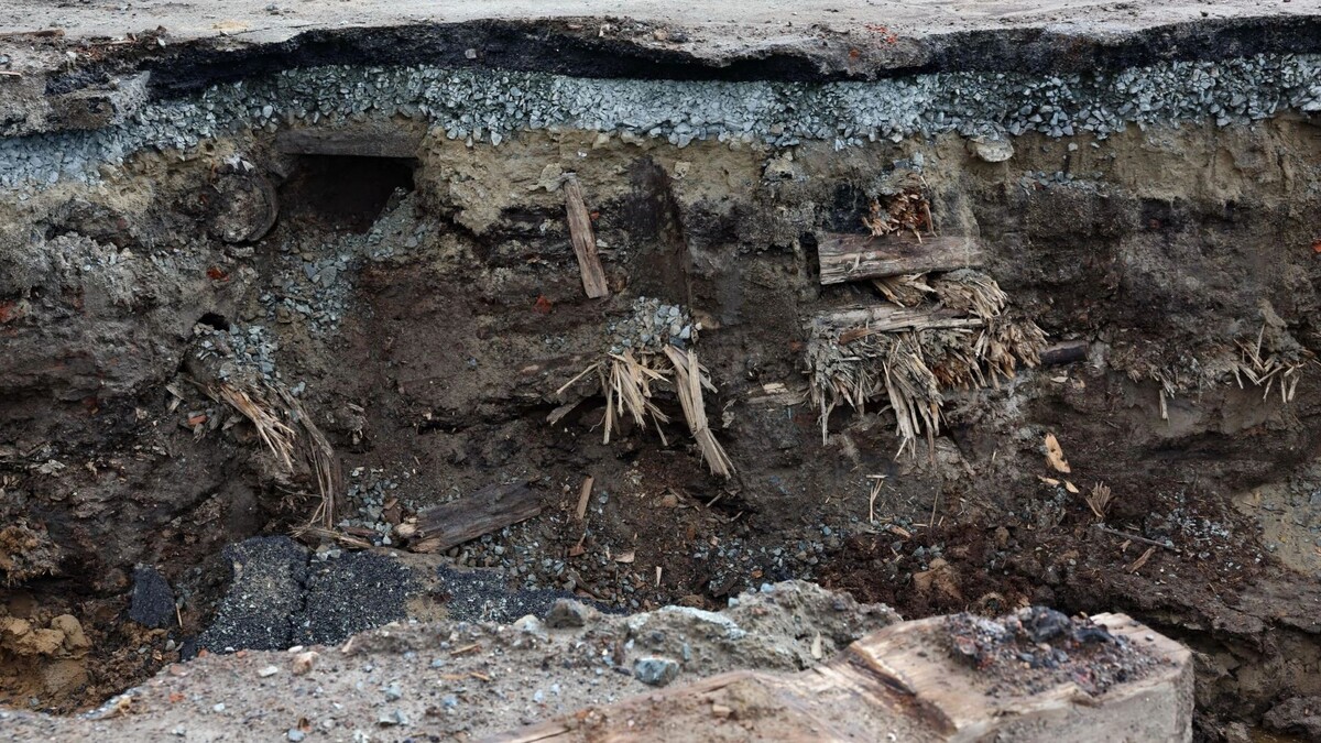    Фото: Андрей Ткачёв/«Ямал-Медиа»