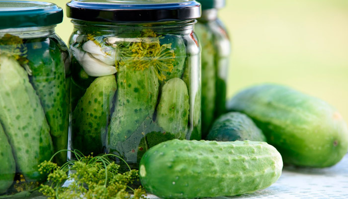 17 августа отмечается Авдотья Огуречница. Фото: pxhere.com