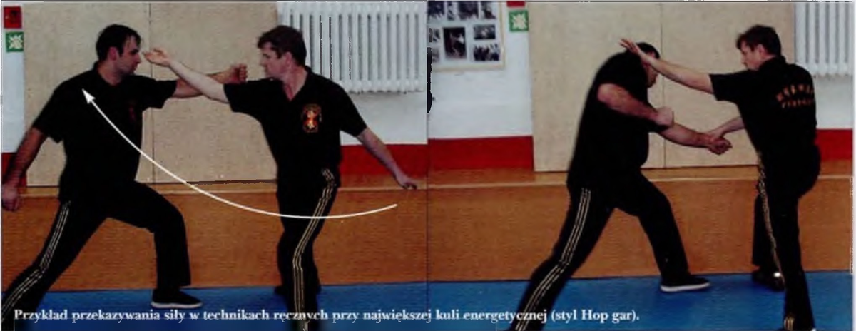 Пример передачи силы в техниках рук при наибольшем энергетическом шаре (стиль Hop gar)