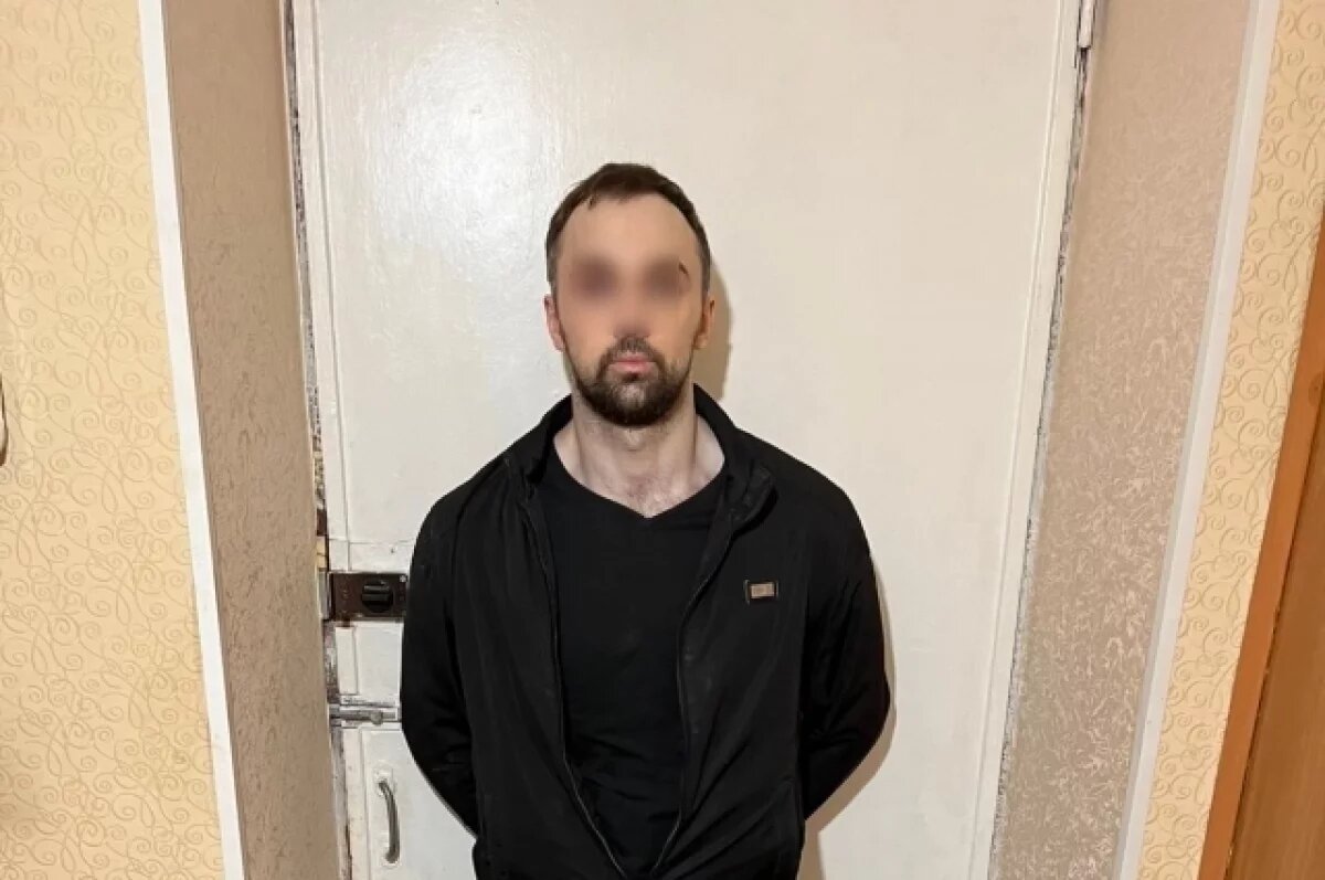    В Петербурге задержали «наркопочтальона» с посылками психотропов