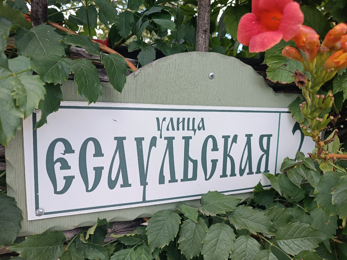 Улица у ворот в музей