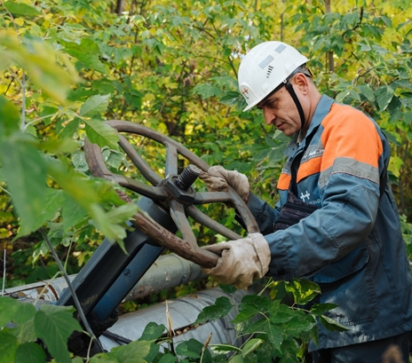    Фото: Т Плюс