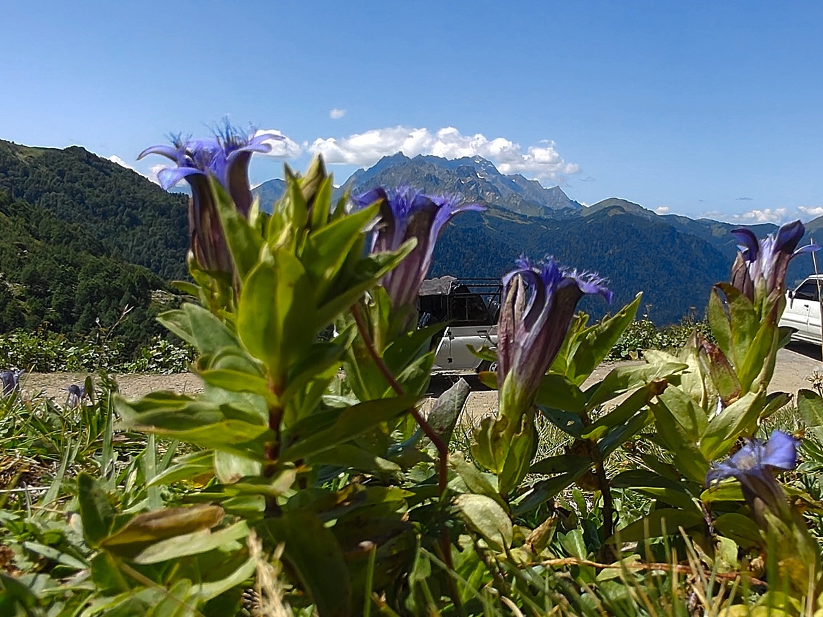 На перевале Пыв в сторону Бзыбского хребта