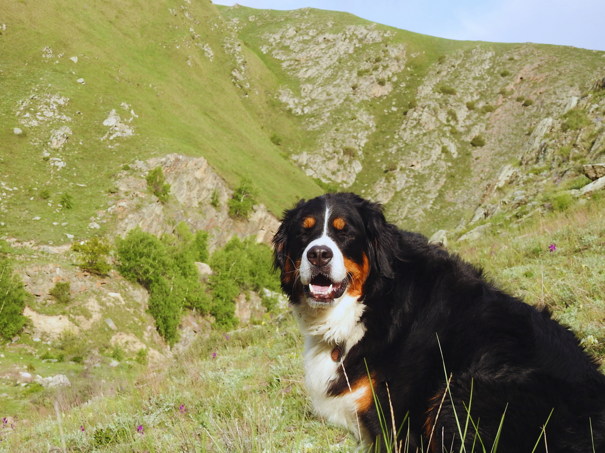 Наша скалолазка