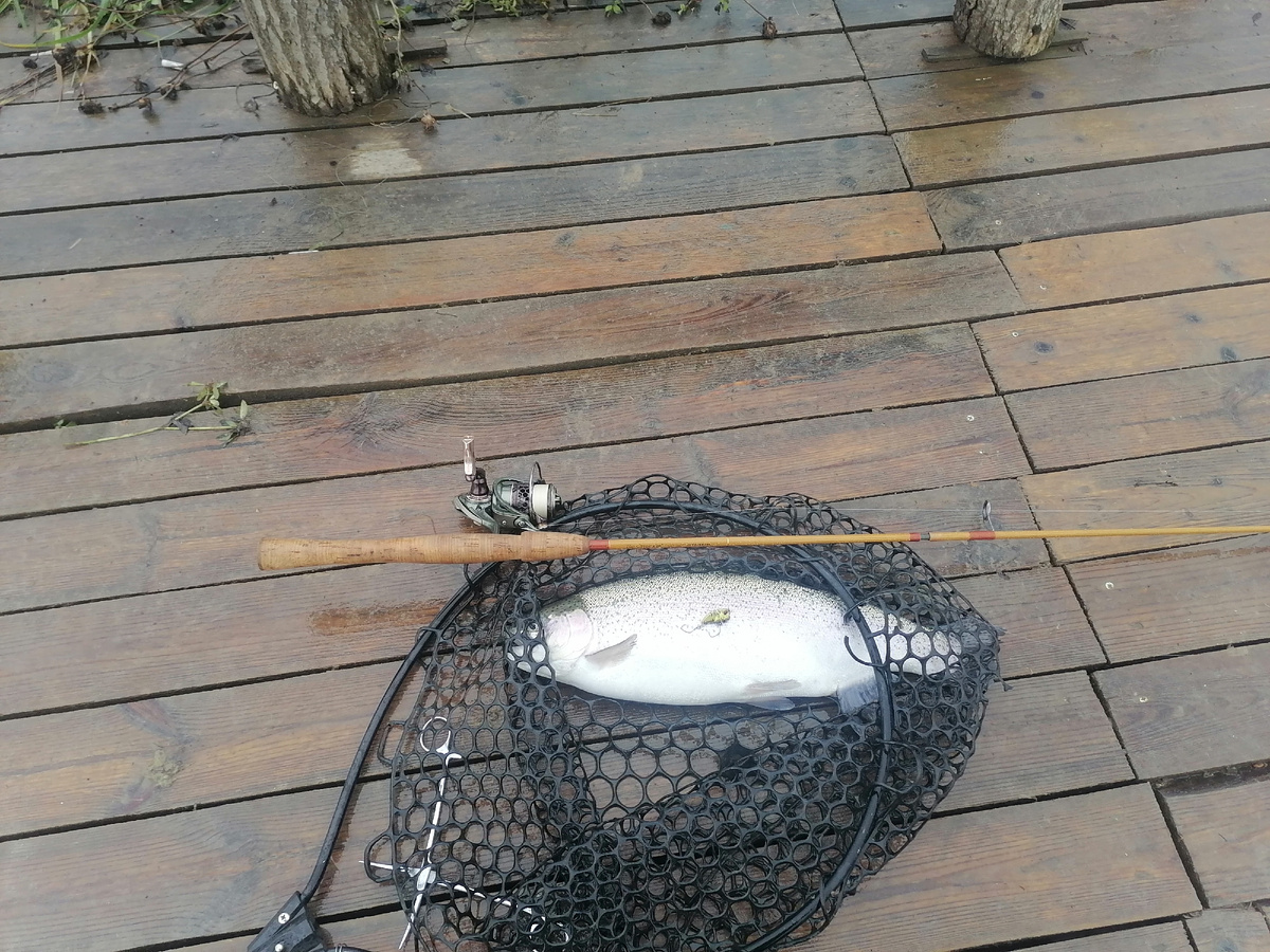 На спиннинге Ivyline the Origin, бланк которого на значительную долю состоит из "стекла", чувствительность на отыгрыш тюльпана достаточно яркая. Чувствуется игра приманок - причем игра не только vib типа Li-Worm nano, но и обычных колеблющихся блесен. Где же здесь высокомодульные карбоны??? 